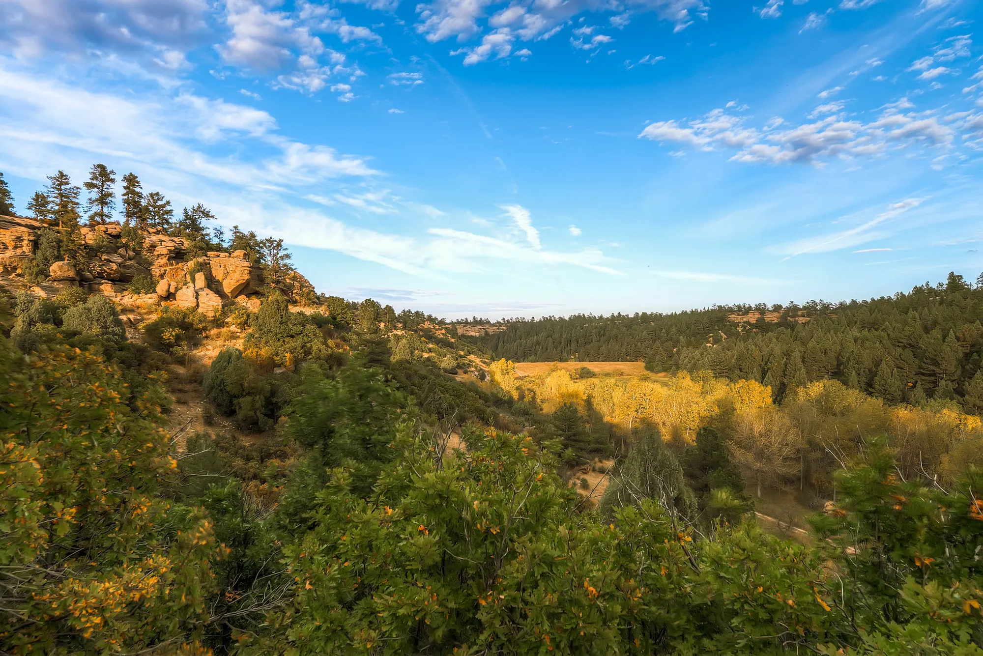 Sandstone outcrop and ponderosa pines along Colorado's Front Range